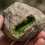 Unveiling the Hidden World: Endolithic Microbial Communities Redefine Life’s Limits